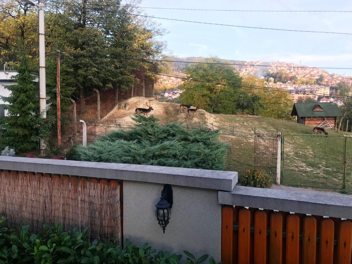 Bajrovic Villa